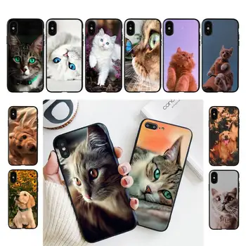 YNDFCNB Srčkan Živali Mačka Primeru Telefon Za iPhone 11 8 7 6 6S Plus X XS MAX 5 5S se 2020 11 12pro max iphone xr primeru