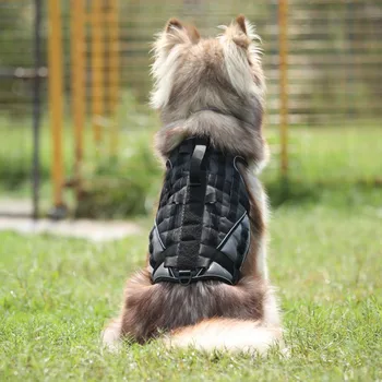 Pes Telovnik Št Potegnite Pet Usposabljanje Pasovi Trajne Pes Pas Telovnik za Srednje Velike Pse M, L, XL