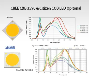 CXB3590 COB LED Grow Light Celoten Spekter 100W 200W Državljan 1212 LED Rastlin Raste Lučka za Notranji Šotor, v Rastlinjakih Hydroponic Rastlin