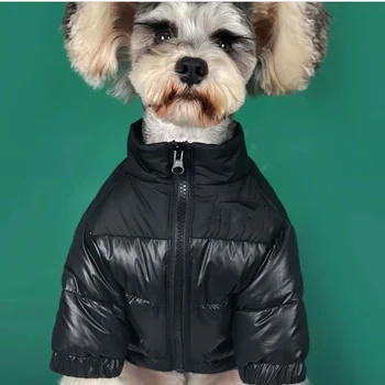 Pes Obraz Pes Navzdol Jakno Toplo Psi Zimski Plašč Pet Oblačila Francoski Buldog Oblačila Samll Srednje Pse Obleko Jumpsuit