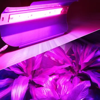 COB LED Grow Light zaprtih rastlin lučka Celoten Spekter toplogrednih aluminija 220V 30W/50 W/80W Za rastlinsko cultivo soba vrt
