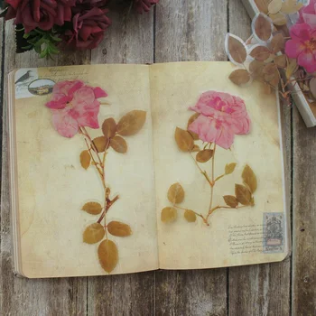 6pcs Velik obseg Naravnih Soft Pink Rose Cvet Slog PVC Prozorni Nalepki Scrapbooking DIY Darilo Dekoracijo Oznako