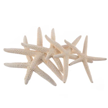12pcs 7-11 cm Bela natur Prst Zvezda Naravnih Sea Star DIY Obrti Dekoracijo za Plažo Koči Poroko Dekor